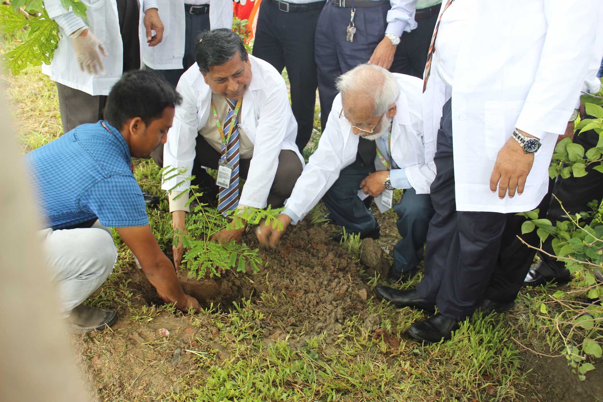 Prof. Dr. MA Rab, Mr. Mesbahul Islam, DNCC, Dr. Muyeed, DAE and other faculty members planting tree